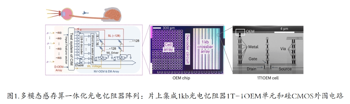 东国大学开发出自兼容忆阻器设备 可实现多级操作和交叉阵列以形成神经网络